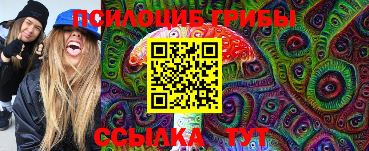 Алатырь  Галлюциногенные грибы Psilocybine cubensis  Псилоцибиновые грибы Psilocybine cubensis  Вход с VPN 