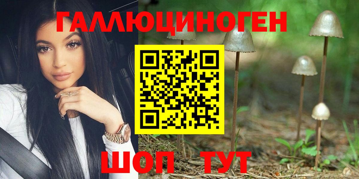 Псилоцибиновые грибы прущие грибы Алатырь