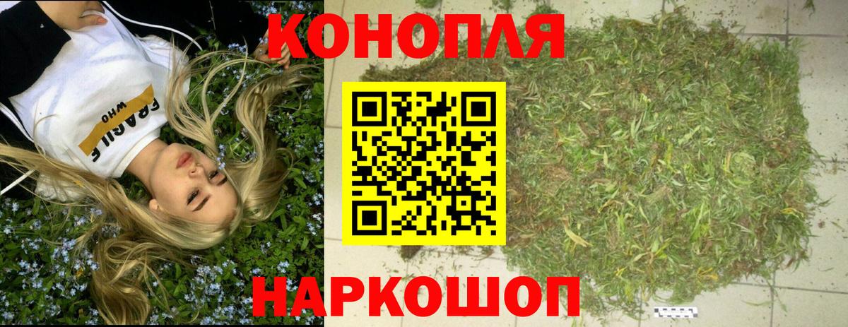 Каннабис план Алатырь